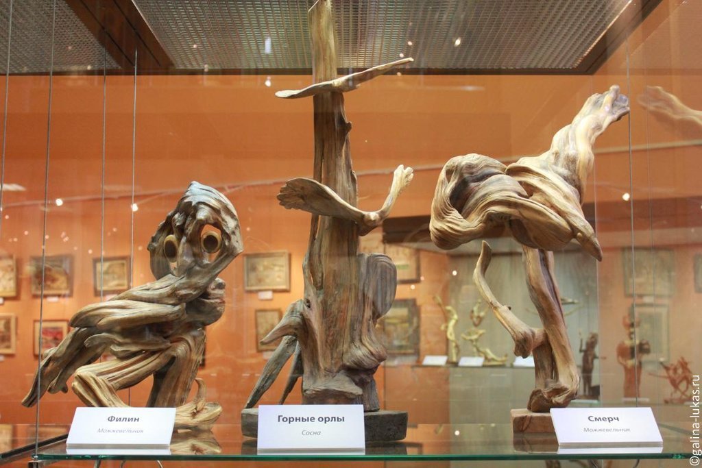Выставочный комплекс в Дарвиновском музее