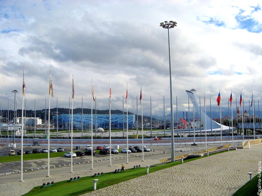 Площадь олимпийского парка