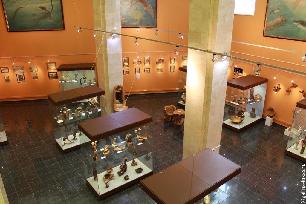 Выставочный комплекс в Дарвиновском музее