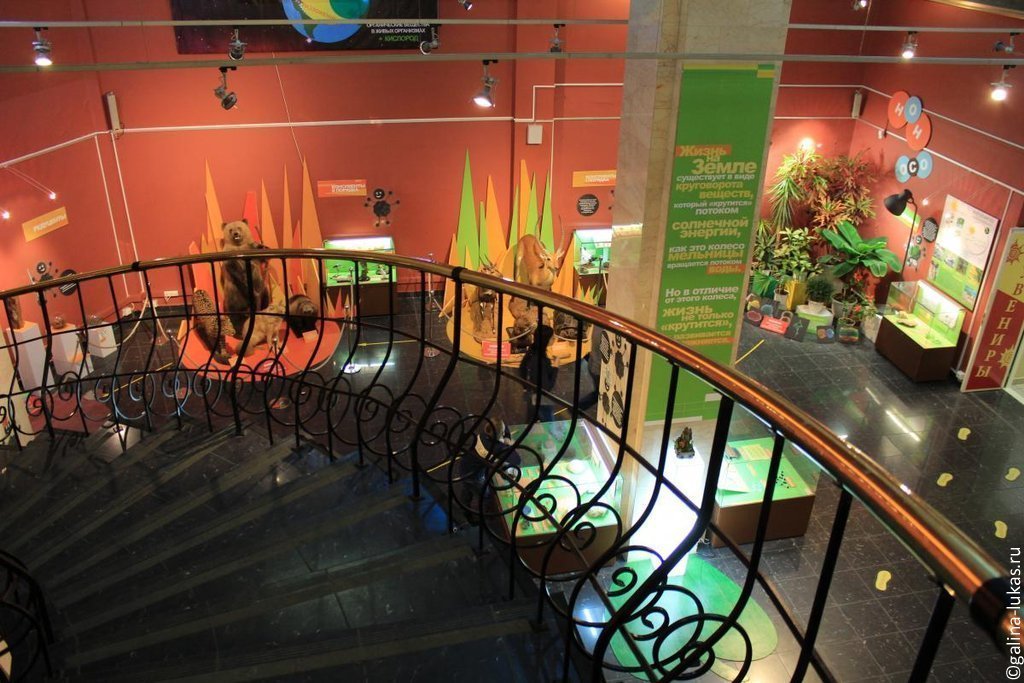 Выставочный комплекс Дарвиновский музей