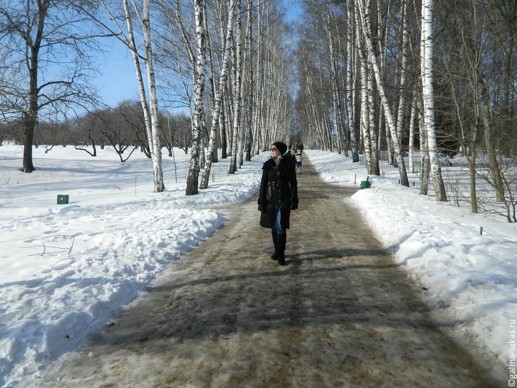 Усадьбы и музеи Тульской области