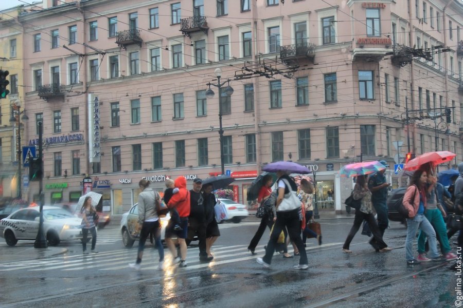 Куда сходить в санкт петербурге сегодня недорого