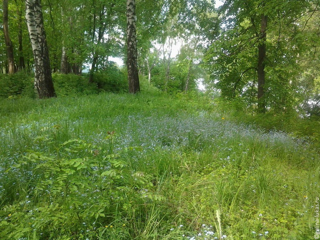 Щелыково и Карабиха. Две усадьбы, две судьбы