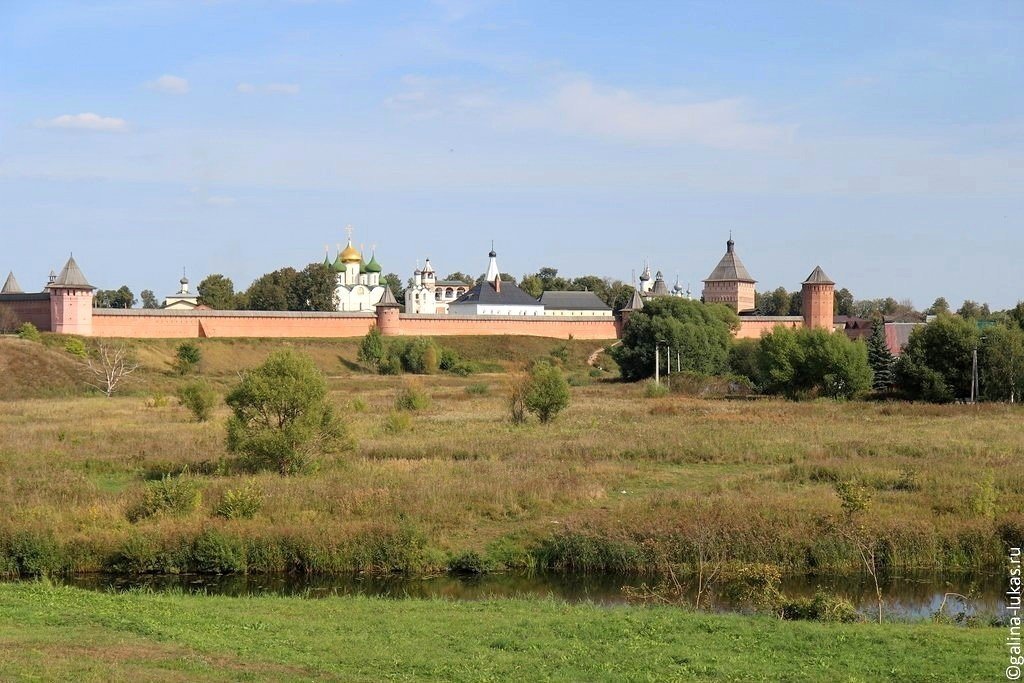Вид на Спасо-Евфимиевский монастырь от ГТК Суздаль